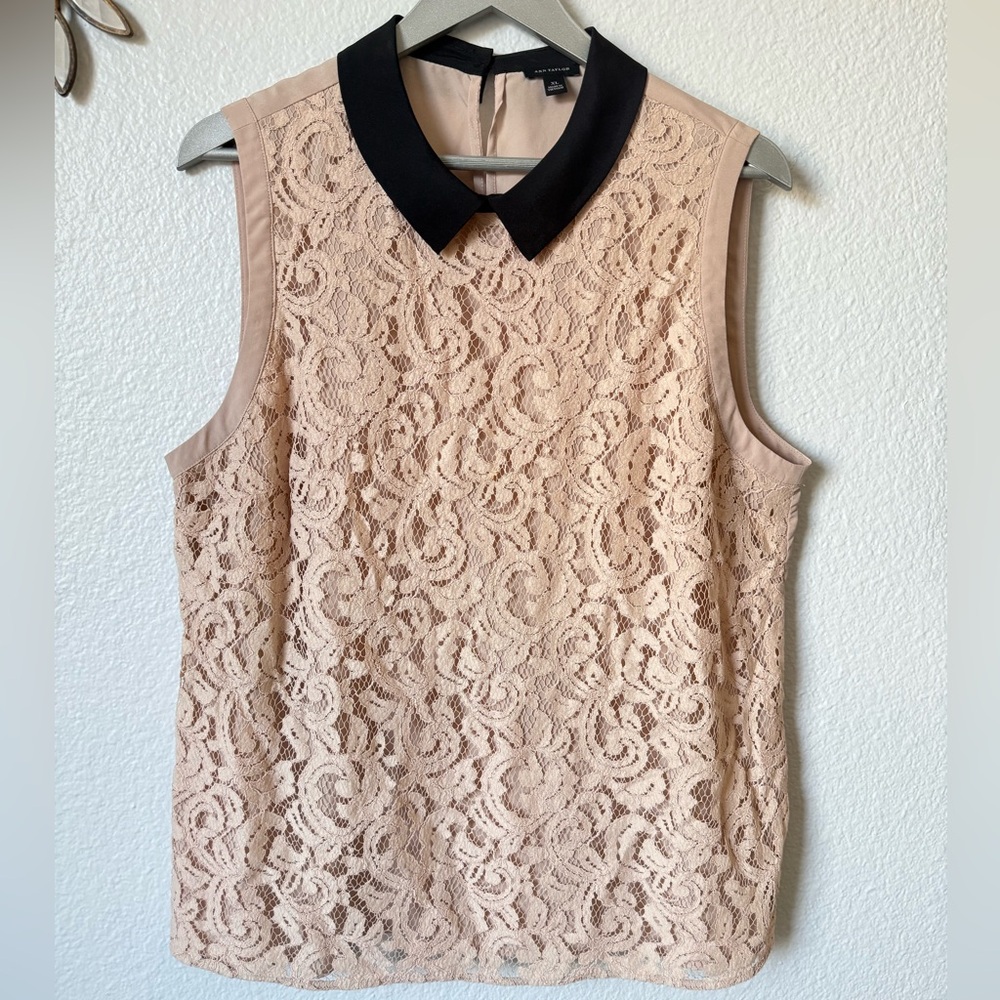 Ann Taylor lacy collared blouse